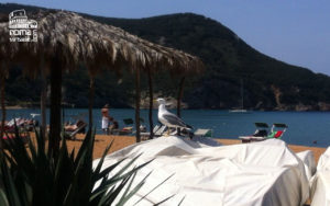 Web Agency Roma Virtuale - Buone vacanze 2024
